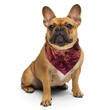Spectral Evidence Bandana