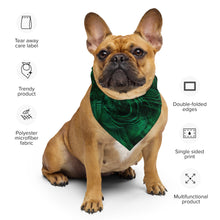 Meganeuropsis Bandana