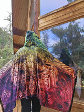 Spectral Evidence Velvet Hooded Pashmina