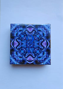 Angels Dancing on a Pin x Dripper Magnet