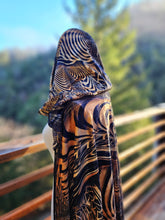 Down the Ribbit Hole Velvet Hooded Pashmina