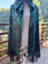 Meganeuropsis Velvet Hooded Pashmina
