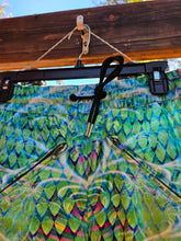 Saphira v2 Velvet Joggers