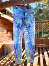 Saphira Velvet Joggers